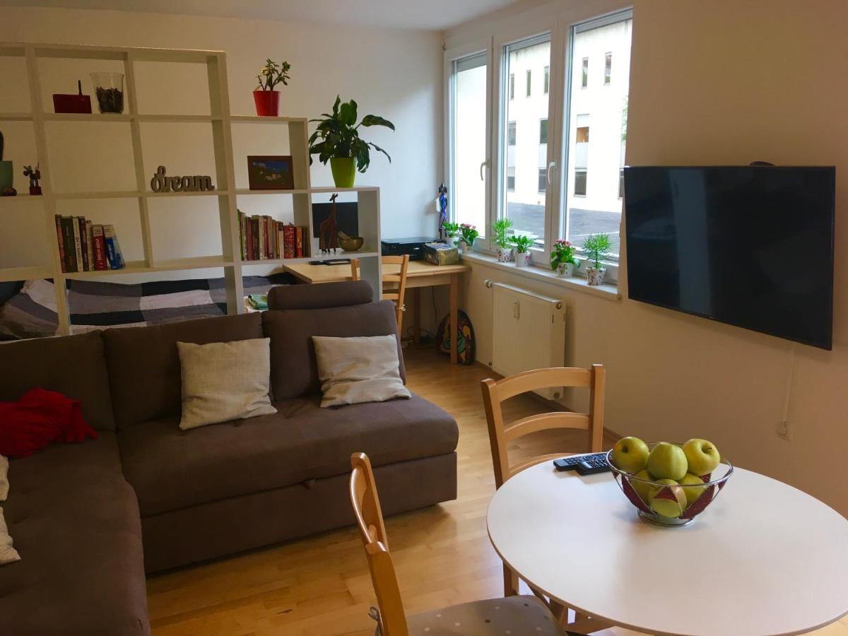 류블랴나 Cosy Studio Andy With Great Location 아파트 외부 사진