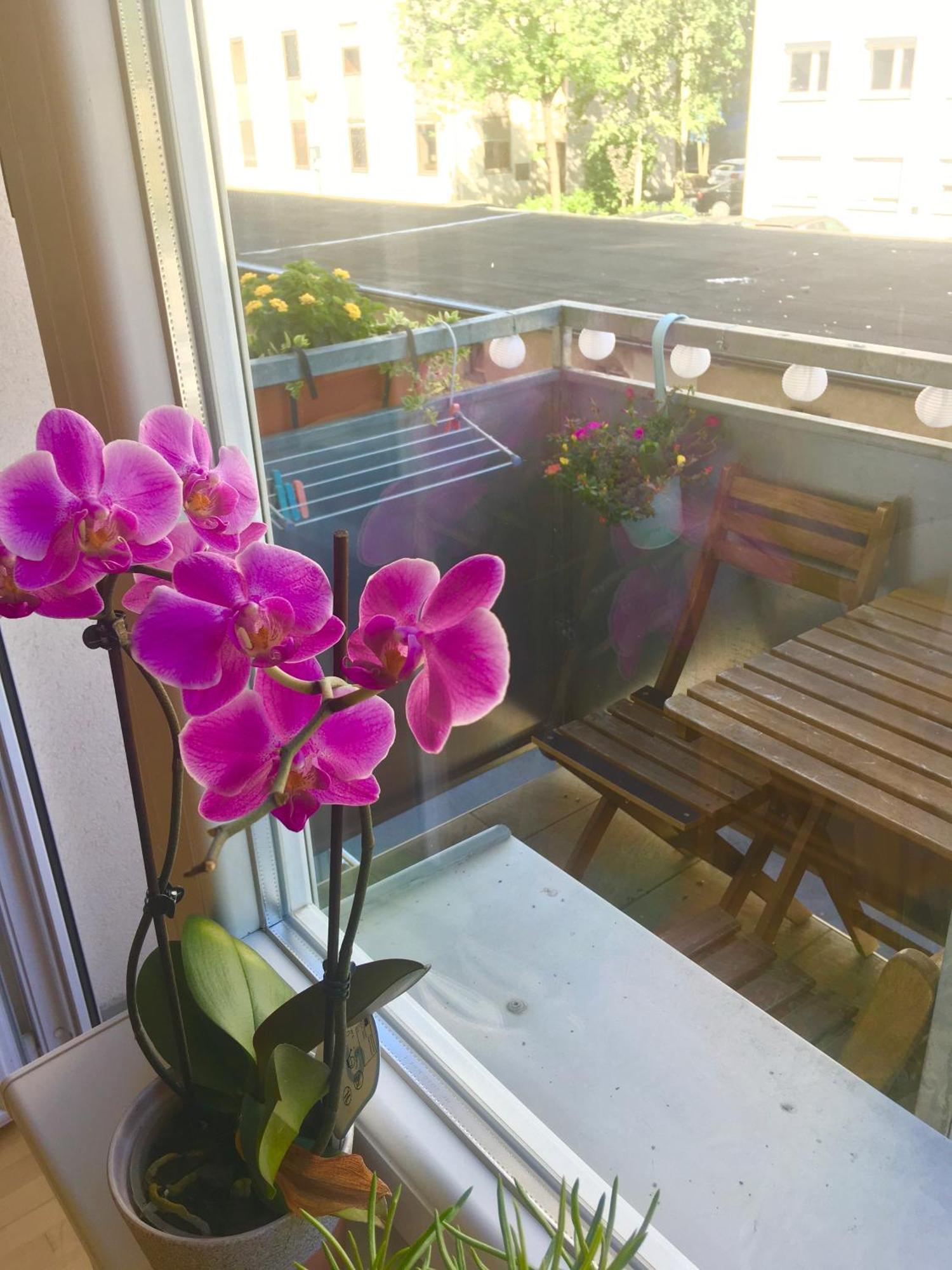 류블랴나 Cosy Studio Andy With Great Location 아파트 외부 사진